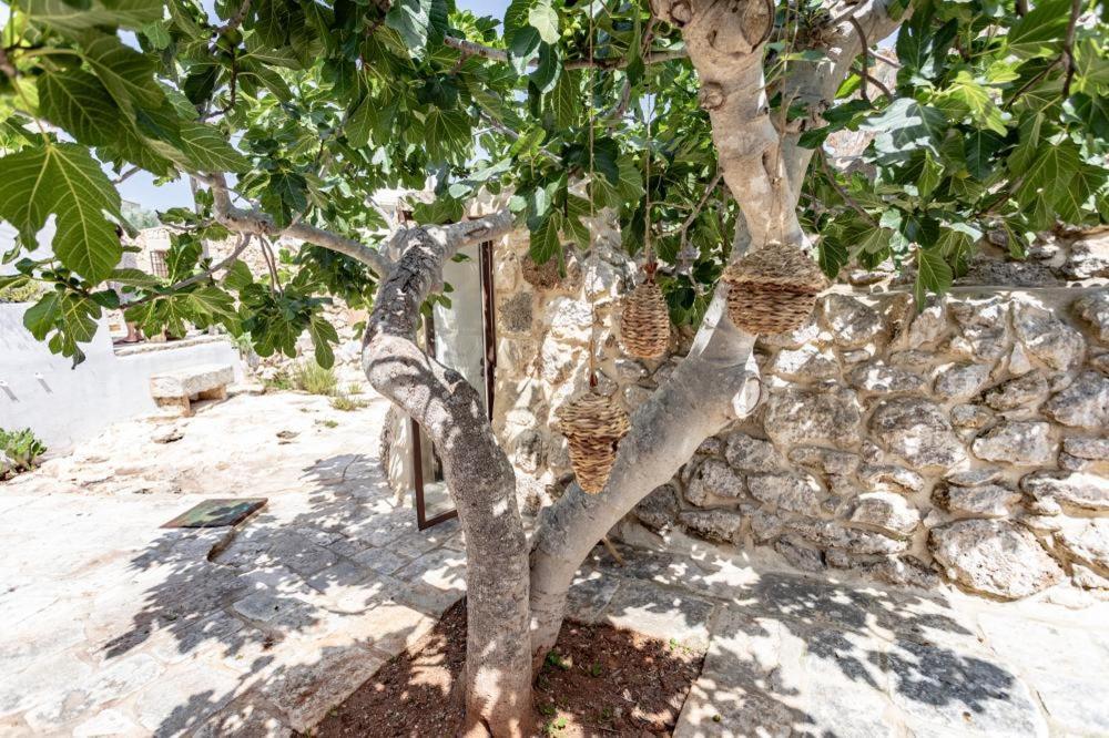 Bed and Breakfast Trullo Santovia Sant Isidoro  Exterior foto